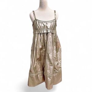 Robert Rodriguez Shiny Silver Dress